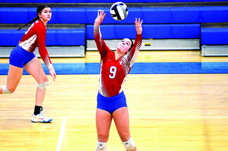 Red Knights’ memorable run ends in district final - The Herald Star
